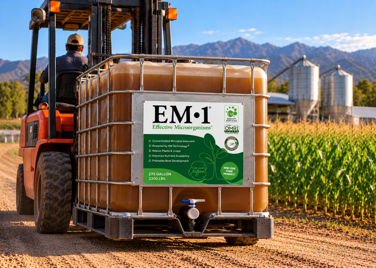 Forklift carrying a 275-gallon tote of EM•1® to a cornfield